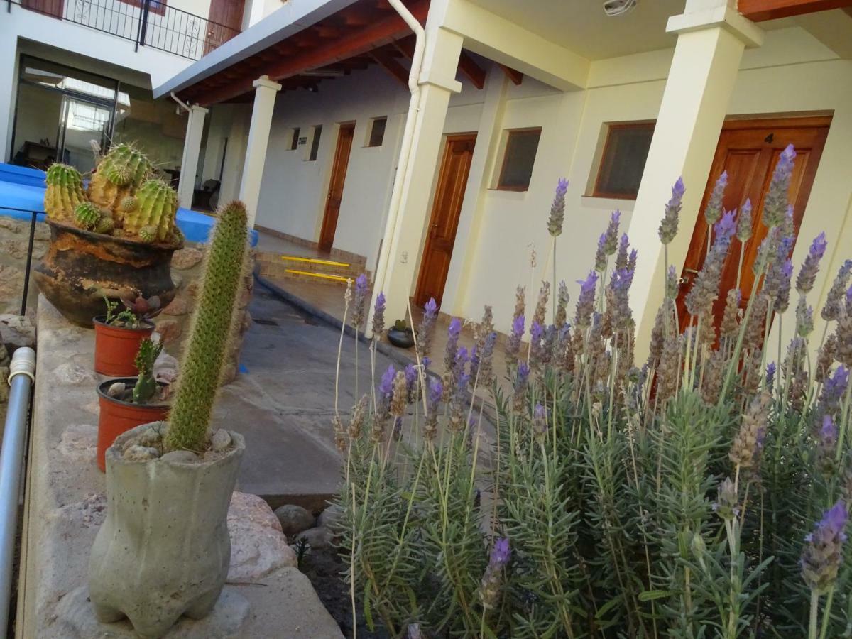 فندق Casa Cactus كفايات المظهر الخارجي الصورة