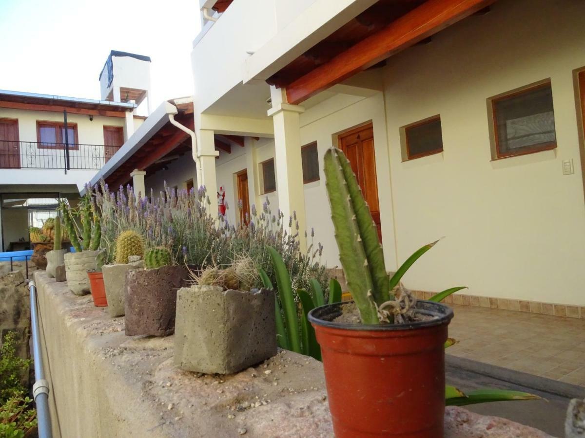 فندق Casa Cactus كفايات المظهر الخارجي الصورة