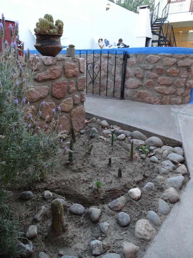 فندق Casa Cactus كفايات المظهر الخارجي الصورة
