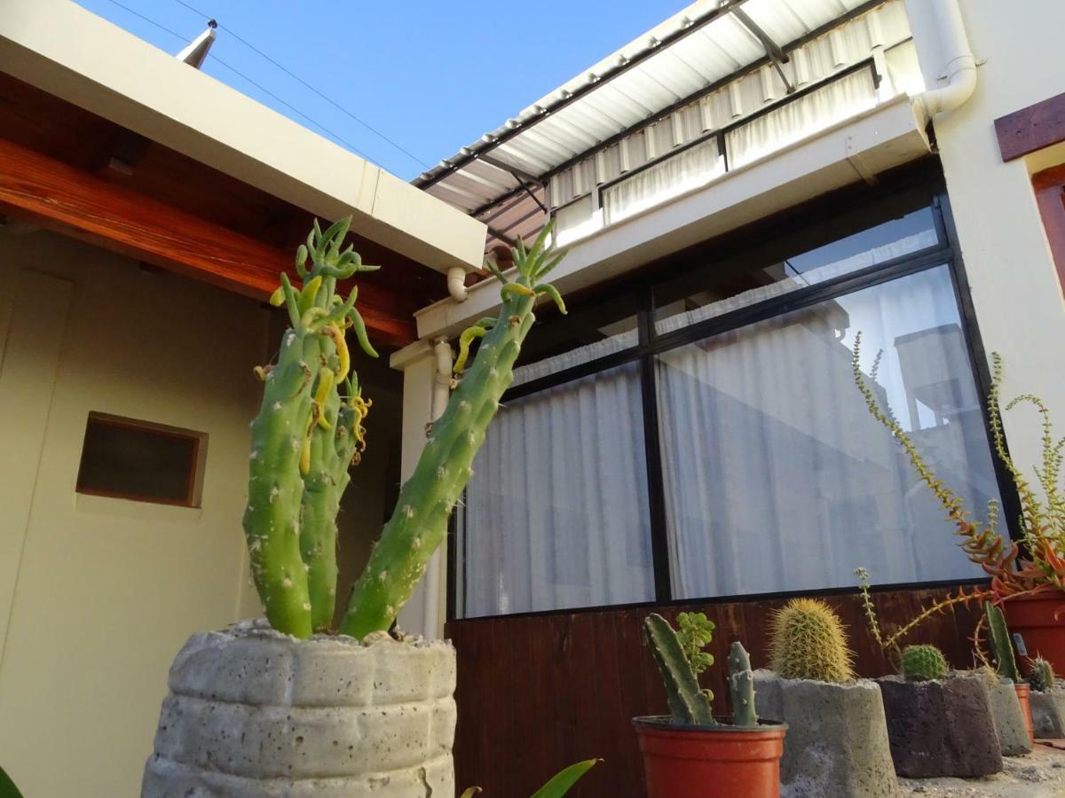 فندق Casa Cactus كفايات المظهر الخارجي الصورة